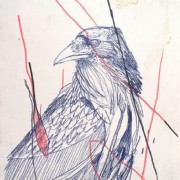 Twoone - Black bird sketch - 29x21cm